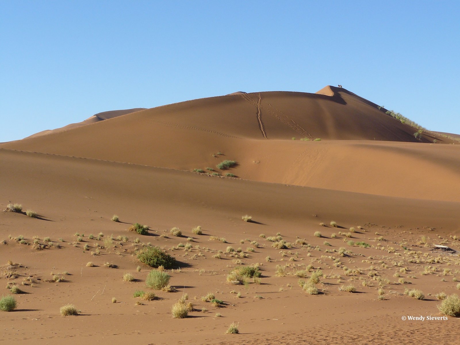 Hoge rode zandduin in de Sossusvlei in Namibië