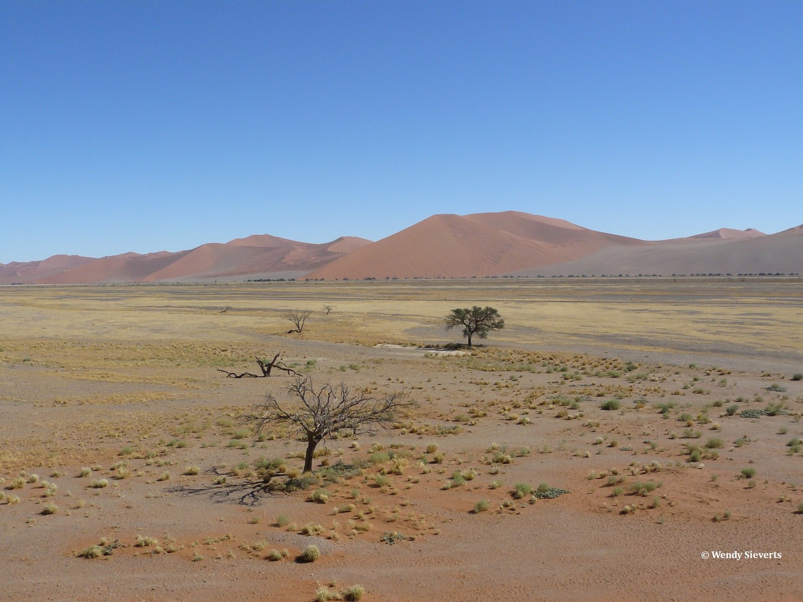 Uitzicht op de Sossusvlei met haar rode zandduinen en mooie aarde tinten in Namibië