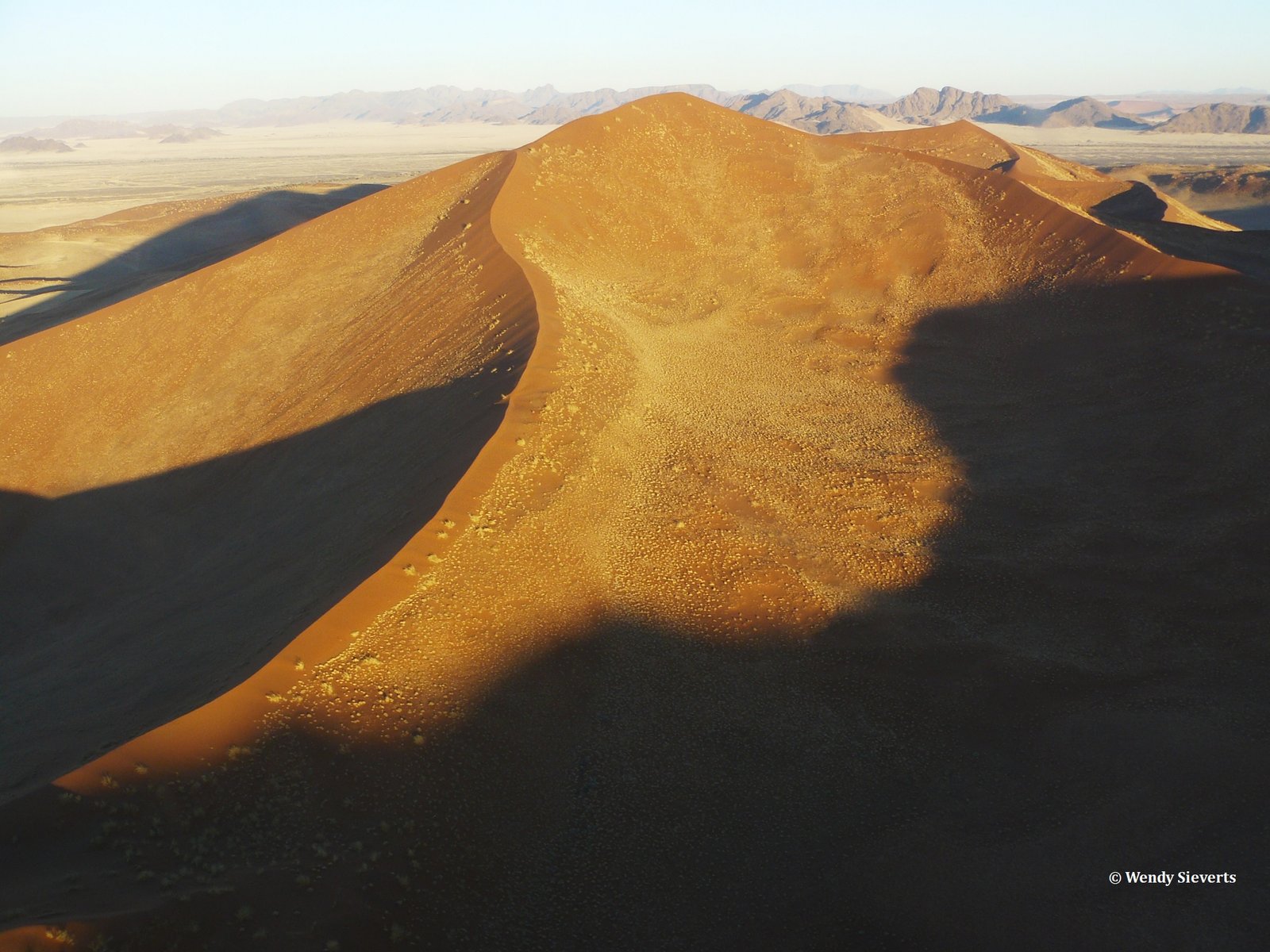 Grote rood met bruine zandduin in de Sossusvlei in Namibië