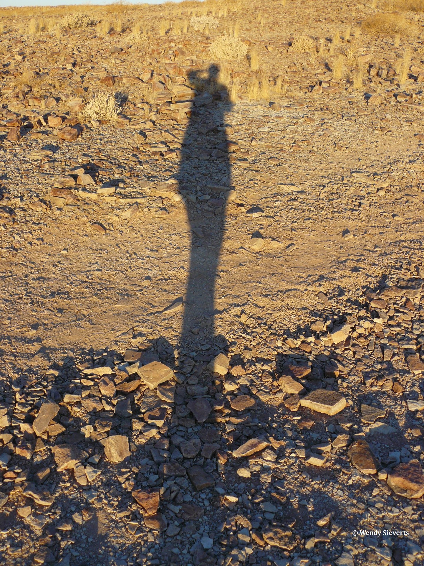 Een zelfportret van lange schaduwen in het gouden licht aan het einde van de dag in Fish River Canyon in Namibië